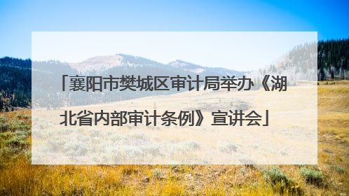 襄阳市樊城区审计局举办《湖北省内部审计条例》宣讲会