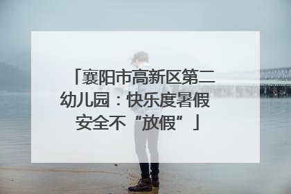 襄阳市高新区第二幼儿园：快乐度暑假 安全不“放假”