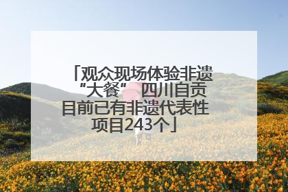 观众现场体验非遗“大餐” 四川自贡目前已有非遗代表性项目243个