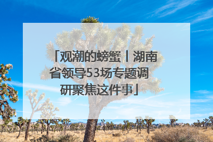 观潮的螃蟹丨湖南省领导53场专题调研聚焦这件事