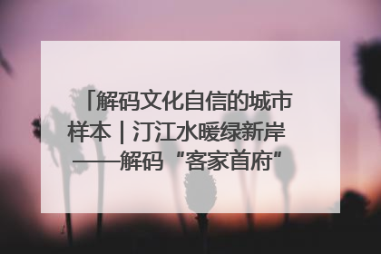 解码文化自信的城市样本｜汀江水暖绿新岸——解码“客家首府”长汀的文化自信样本