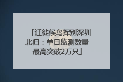 迁徙候鸟挥别深圳北归：单日监测数量最高突破2万只