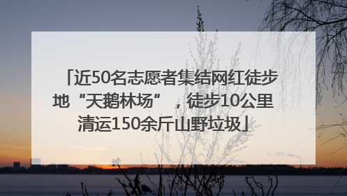 近50名志愿者集结网红徒步地“天鹅林场”，徒步10公里清运150余斤山野垃圾