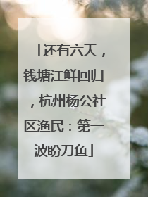 还有六天，钱塘江鲜回归，杭州杨公社区渔民：第一波盼刀鱼