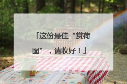 这份最佳“赏荷图”，请收好！