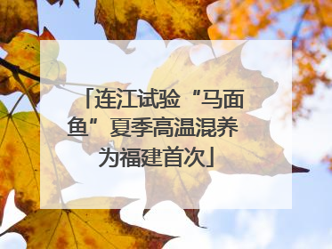 连江试验“马面鱼”夏季高温混养 为福建首次