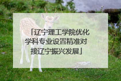 辽宁理工学院优化学科专业设置精准对接辽宁振兴发展