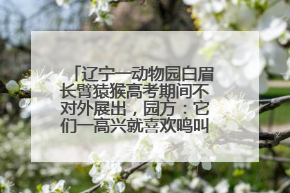 辽宁一动物园白眉长臂猿猴高考期间不对外展出，园方：它们一高兴就喜欢鸣叫，怕影响考试