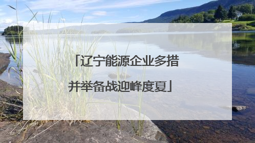 辽宁能源企业多措并举备战迎峰度夏