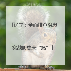 辽宁：全面排查隐患 实战防患未“燃”