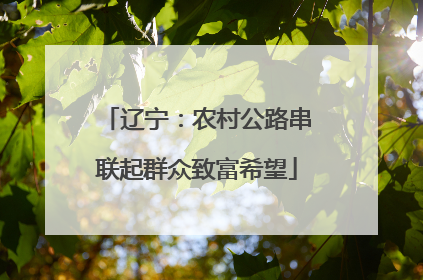 辽宁：农村公路串联起群众致富希望