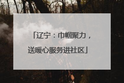 辽宁：巾帼聚力，送暖心服务进社区