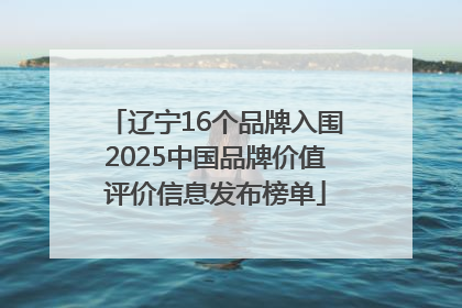 辽宁16个品牌入围2025中国品牌价值评价信息发布榜单
