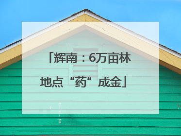 辉南：6万亩林地点“药”成金
