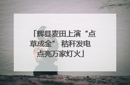 辉县麦田上演“点草成金” 秸秆发电点亮万家灯火