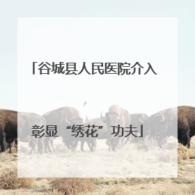 谷城县人民医院介入彰显“绣花”功夫