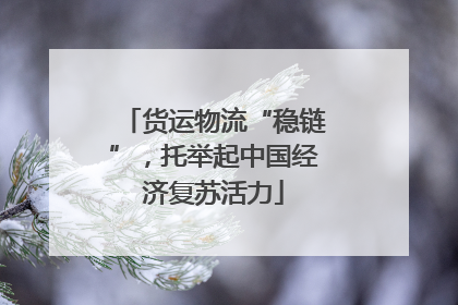 货运物流“稳链”，托举起中国经济复苏活力
