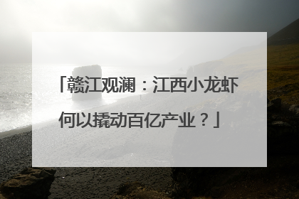 赣江观澜：江西小龙虾何以撬动百亿产业？