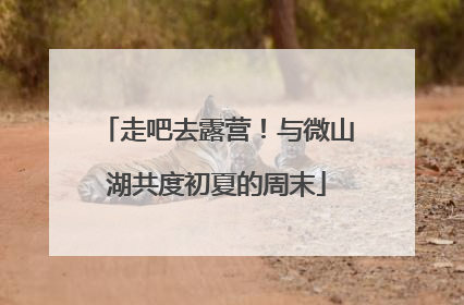 走吧去露营！与微山湖共度初夏的周末
