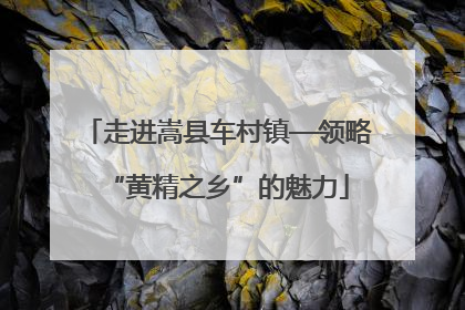 走进嵩县车村镇—领略“黄精之乡”的魅力