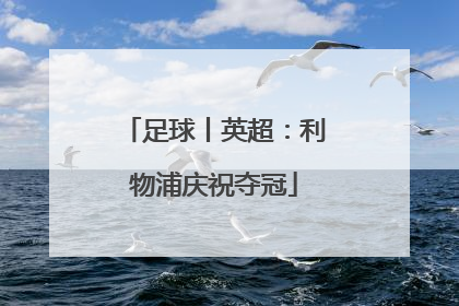 足球丨英超：利物浦庆祝夺冠