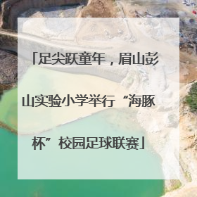 足尖跃童年，眉山彭山实验小学举行“海豚杯”校园足球联赛