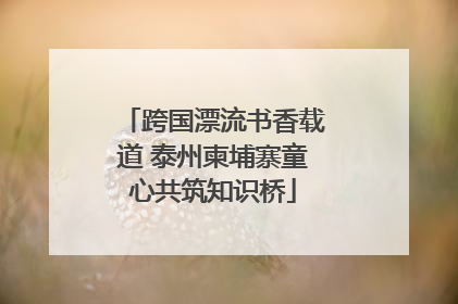 跨国漂流书香载道 泰州柬埔寨童心共筑知识桥
