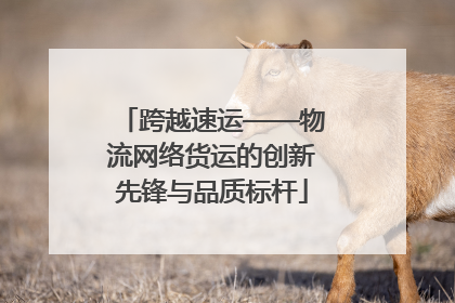 跨越速运——物流网络货运的创新先锋与品质标杆