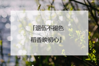 退伍不褪色 稻香映初心