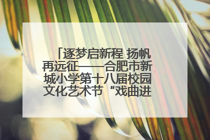 逐梦启新程 扬帆再远征——合肥市新城小学第十八届校园文化艺术节“戏曲进校园专场演出”