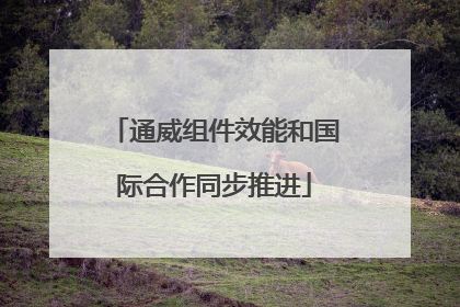通威组件效能和国际合作同步推进