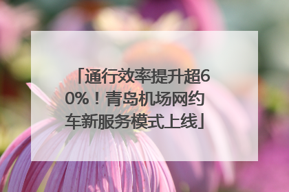 通行效率提升超60%！青岛机场网约车新服务模式上线