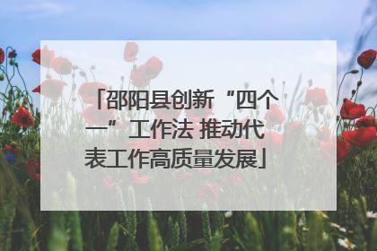 邵阳县创新“四个一”工作法 推动代表工作高质量发展