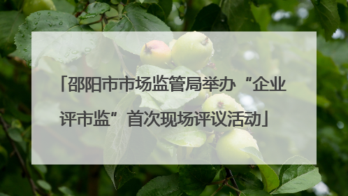 邵阳市市场监管局举办“企业评市监”首次现场评议活动
