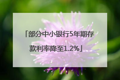 部分中小银行5年期存款利率降至1.2%