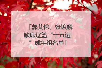 郭艾伦、张镇麟缺席辽篮“十五运”成年组名单