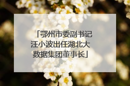 鄂州市委副书记汪小波出任湖北大数据集团董事长