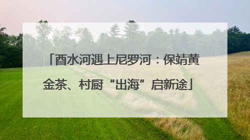 酉水河遇上尼罗河：保靖黄金茶、村厨“出海”启新途
