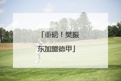 重磅！樊振东加盟德甲