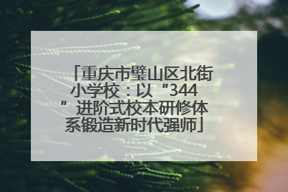 重庆市璧山区北街小学校：以“344”进阶式校本研修体系锻造新时代强师