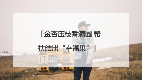 金杏压枝香满园 帮扶结出“幸福果”