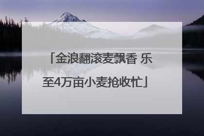 金浪翻滚麦飘香 乐至4万亩小麦抢收忙