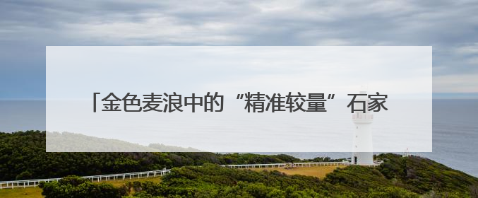 金色麦浪中的“精准较量”石家庄市开展小麦机收减损大比武