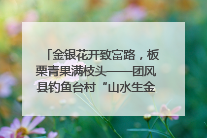 金银花开致富路，板栗青果满枝头——团风县钓鱼台村“山水生金”谱写共富新篇章