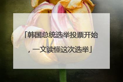 韩国总统选举投票开始，一文读懂这次选举