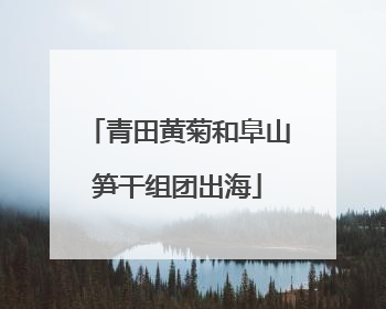 青田黄菊和阜山笋干组团出海