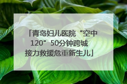 青岛妇儿医院“空中120”50分钟跨城接力救援危重新生儿