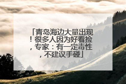 青岛海边大量出现！很多人因为好看捡，专家：有一定毒性，不建议手碰