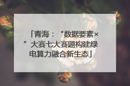 青海：“数据要素×”大赛七大赛题构建绿电算力融合新生态