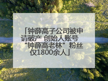 钟薛高子公司被申请破产 创始人账号“钟薛高老林”粉丝仅1800余人